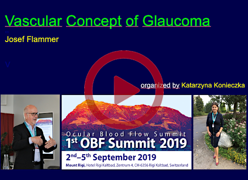 Vascular Concept of Glaucoma video